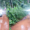 തയ്യുള്ളതില്‍ പരപ്പിന്‍ കാട്ടില്‍ പുറായി റോഡ് ഗതാഗതയോഗ്യമാക്കണം
