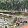ഉദ്ഘാടനത്തിനൊരുങ്ങി കന്നാട്ടി നീന്തല്‍കുളം; സംഘാടക സമിതി രൂപീകരിച്ചു