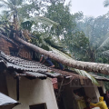 വീടിന് മുകളില്‍ തെങ്ങ് കടപുഴകി വീണു