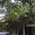 പന്നിക്കോട്ടൂരില്‍ വീടിന് മുകളില്‍ മരം വീണ് നാശനഷ്ടം