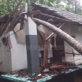 മരം കടപുഴകി വീണ് വീട് തകര്‍ന്നു