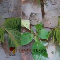 യാത്ര ദുരിതം; വാണിമേലിൽ പൈപ്പ് പൊട്ടി വെള്ളം കുത്തിയൊലിച്ച് ഗർത്തം രൂപപ്പെട്ടു