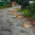മുയിപ്പോത്ത് തെക്കുമുറി റോഡിന്റെ ശോചനീയാവസ്ഥക്കെതിരെ പ്രതിഷേധം