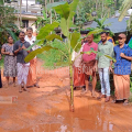 കല്ലൂക്കര റോഡ് സഞ്ചാരയോഗ്യമാക്കണം; വാഴ നട്ട് പ്രതിഷേധവുമായി ബിജെപി