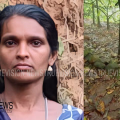 വീട്ടമ്മ ഷോക്കേറ്റ് മരിച്ച സംഭവം; അയല്‍വാസി അറസ്റ്റില്‍ 