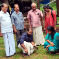 ആഫ്രിക്കന്‍ ഒച്ചു ശല്യം അടിയന്തിര നിയന്ത്രണ മാര്‍ഗ്ഗങ്ങള്‍ സ്വീകരിക്കും