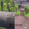 പൊട്ടി വീണ വൈദ്യുതി ലൈനില്‍ നിന്നും ഷോക്കേറ്റ് വീട്ടമ്മ മരിച്ചു