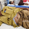 തെരുവ് നായ ആക്രമണത്തില്‍ നിരവധിപ്പേര്‍ക്ക് പരിക്ക്