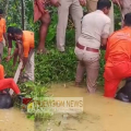 തിരുവോണമാണെങ്കിലും, മിണ്ടാപ്രാണി യാണെങ്കിലും  ജീവനാണ് വില ; സല്യൂട്ട് തലശേരി ഫയർഫോഴ്സ്