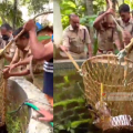 കിണറില്‍ വീണ ആടിന് രക്ഷകരായത് അഗ്നിരക്ഷാസേന