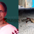 ബസിടിച്ച് പരിക്കേറ്റ മഹിളാ കോണ്‍ഗ്രസ് നേതാവ് മരിച്ചു