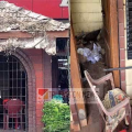 പ്രേതാലയം കണക്കെ ! ന്യൂമാഹി പൊലീസ് ഔട്ട് പോസ്റ്റ് തുറന്ന് പ്രവർത്തിപ്പിക്കണമെന്ന് നാട്ടുകാർ