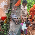 'മനഃസാക്ഷി മരവിക്കാതെ'; കാനയിൽ അകപ്പെട്ട കാളയെ രക്ഷപ്പെടുത്തി നാദാപുരത്തെ ഫയർ & റെസ്ക്യൂ 