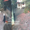 മന:സാന്നിധ്യത്തിന് 💯 ; രാവിലെ മദ്രസയിലേക്ക് പോയ  ചൊക്ലി' സ്വദേശിനി അർവ തെരുവുനായ്ക്കളിൽ നിന്നും രക്ഷപ്പെട്ടത് തലനാരിഴക്ക്
