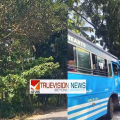 മഞ്ഞോടിയിൽ ബസുകൾ കൂട്ടിയിടിച്ചുണ്ടായ അപകടത്തിൽ പരിക്ക്  21 പേർക്ക് ; മരങ്ങൾ മുറിച്ചു മാറ്റിയില്ലെങ്കിൽ ഓട്ടം നിർത്തുമെന്ന് ബസ് ജീവനക്കാർ 