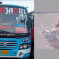 ബസ് ജീവനക്കാരുടെ ശ്രദ്ധക്ക്, സൂക്ഷിച്ചാൽ ദു:ഖിക്കേണ്ട ; ബസ് സ്റ്റാൻ്റിൽ ടിക്കറ്റ് മാലിന്യം വലിച്ചെറിഞ്ഞതിന് കുടജാദ്രി ബസ്സിന് പിഴയിട്ട് തലശ്ശേരി നഗരസഭ ആരോഗ്യ വിഭാഗം.