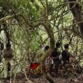 അട്ടപ്പാടിയിൽ ഉൾവനത്തിൽ കുഴിച്ചിട്ട ആദിവാസി സ്ത്രീയുടെ മൃതദേഹം കണ്ടെത്തി ; മൃതദേഹം പുറത്തെടുക്കാനുള്ള ശ്രമം ആരംഭിച്ചു