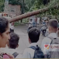 പേരാവൂരിൽ റോഡിന് കുറുകെ തെങ്ങ് കടപുഴകി വീണു ; സ്കൂൾ വിദ്യാർത്ഥികളുമായി പോയ കാർ തലനാരിഴക്ക് രക്ഷപ്പെട്ടു