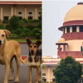തെരുവുനായ ശല്യത്തിൽ സുപ്രീംകോടതിയുടെ ഇടക്കാല ഉത്തരവ് വെള്ളിയാഴ്ച