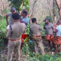 കണ്ണൂരിൽ റബ്ബര്‍ തോട്ടത്തിൽ  കത്തിക്കരിഞ്ഞ നിലയിൽ മൃതദേഹം ; ആത്മഹത്യയാവാമെന്ന് പ്രാഥമിക നിഗമനം