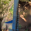കൂട്ടുപുഴ പാലത്തിന് സമീപം വയോധികൻ തൂങ്ങിമരിച്ച നിലയിൽ
