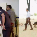 കേരളത്തിലും അതീവ ജാഗ്രത ; മലപ്പുറത്തും, കോഴിക്കോടും, വയനാടും വ്യാപക പരിശോധന