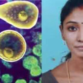 സംസ്ഥാനത്ത് വീണ്ടും അമീബിക് മസ്തിഷ്ക ജ്വര മരണം; യുവതി മരിച്ചു