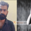 ശ്രീകണ്ഠാപുരം സ്വദേശിനിയായ പെൺകുട്ടിയെ മാനഭംഗപ്പെടുത്തി ദൃശ്യങ്ങള് സമൂഹമാധ്യമങ്ങളില് പ്രചരിപ്പിച്ചു ; യുവതിയുടെ പരാതിയിൽ 29-കാരൻ അറസ്റ്റിൽ