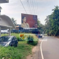 ചമ്പാട് മാക്കുനിയിൽ  കടന്നൽ കൂട്ട  ആക്രമണം ; കൂത്തുപറമ്പ് സ്വദേശിക്ക് കുത്തേറ്റു