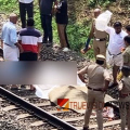 വടകരയിൽ വന്ദേഭാരത് ട്രെയിൻ തട്ടി ഒരാൾ മരിച്ചു