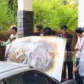 പന്ന്യന്നൂരിൽ വീട്ടുമുറ്റത്തു നിർത്തിയിട്ട കാർ സ്റ്റാർട്ടാക്കുന്നതിനിടെ കത്തി ; ഫയർഫോഴ്സെത്തി തീയണച്ചു