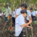 പിണറായി എ.കെ.ജി മെമ്മോറിയൽ ഗവ.ഹയർ 'സെക്കൻ്ററി സ്കൂളിൽ ഒരു കാഡറ്റ് ഒരു കണ്ടൽ പദ്ധതിക്ക് തുടക്കമായി