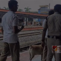 തലശേരി റെയിൽവേ സ്റ്റേഷനിൽ  ഡോഗ് സ്ക്വാഡിന്റെ  പരിശോധന