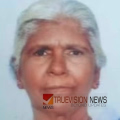 കുന്നപ്പാത്തു മീത്തൽ ചീരു അന്തരിച്ചു