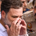 രാഹുൽ ഗാന്ധിയുടെ മുഖത്ത് പരിക്ക്, തൂക്കിയെടുത്ത് നീക്കി അറസ്റ്റ്, മുതിർന്ന നേതാക്കളോട് പൊലീസിന്റെ ബലപ്രയോഗം