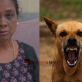 ഇവിടെയും രക്ഷയില്ല...!  പനി ബാധിതനായ മകനെ കാണാനെത്തിയ അമ്മയെ ആശുപത്രി വരാന്തയിൽ വെച്ച് തെരുവ് നായ കടിച്ചുപറിച്ചു 