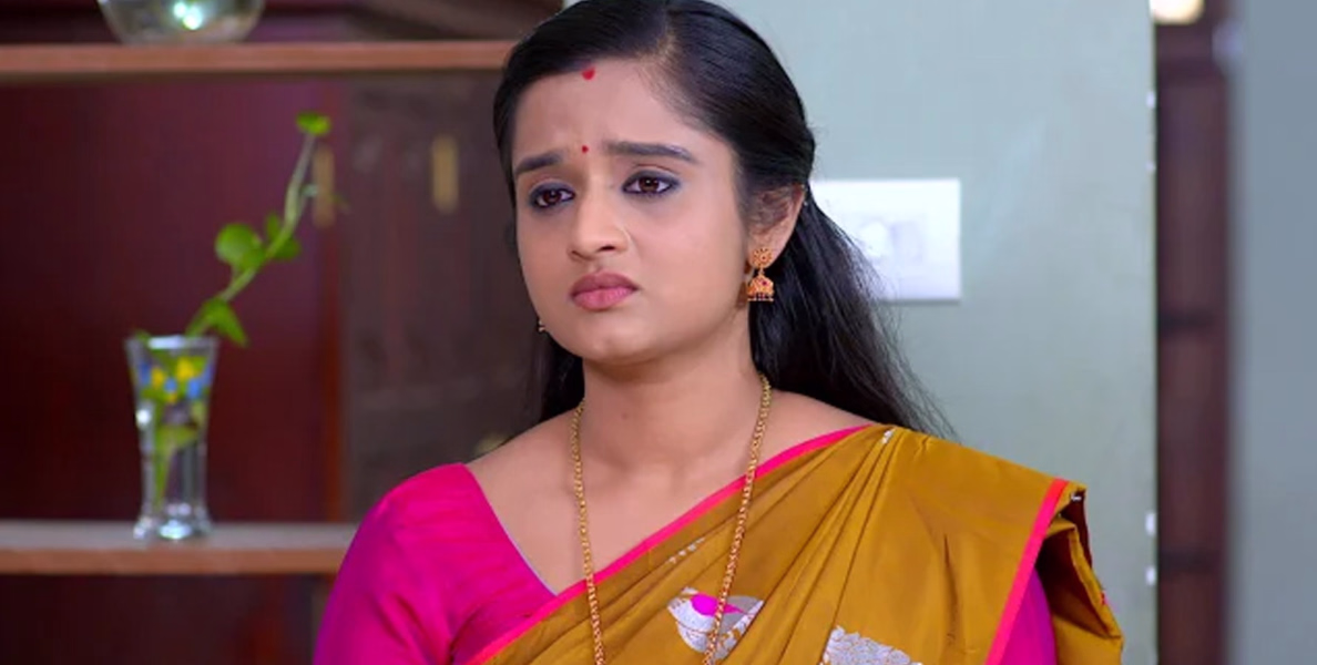 സാന്ത്വനം വീട്ടിലെ പ്രശ്നങ്ങൾ രൂക്ഷമാകുന്നു; നെഞ്ചിടിപ്പോടെ പ്രേക്ഷകര്‍