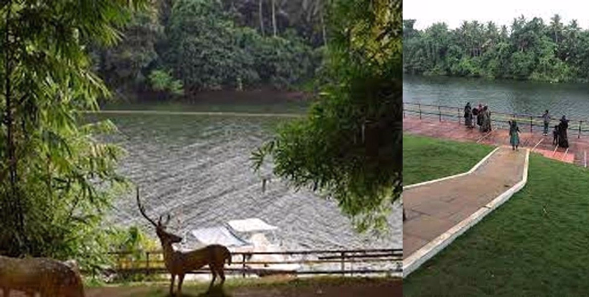 കണ്ണഞ്ചിക്കും കാഴ്ചകള്‍ ഒരുക്കി കുറ്റ്യാടി  വേളത്ത എം എം അഗ്രി പാര്‍ക്ക്