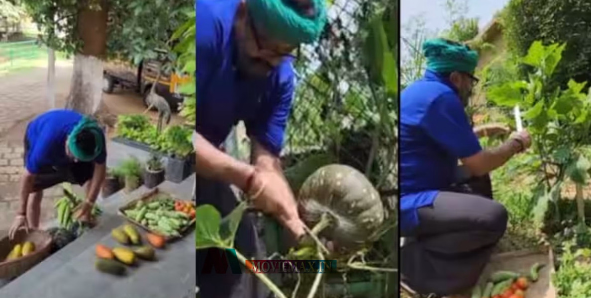  തലയിൽ തോര്‍ത്തും കെട്ടി, തനി കൃഷിക്കാരനായി ജയറാം; പച്ചക്കറി തോട്ടത്തിൽ വിളവെടുപ്പ്, വീഡിയോ