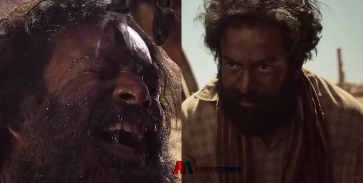 #adujeevitham | എനിക്ക് ആടുജീവിതത്തോട് അസൂയ; കാരണം പറഞ്ഞ് ബോളിവുഡ് നടൻ 