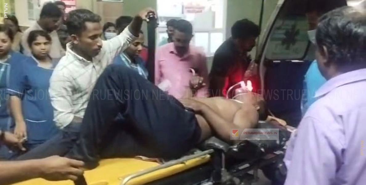പേരാമ്പ്ര എസ്റ്റേറ്റില്‍ കാട്ടാന ആക്രമണത്തില്‍ വാച്ചര്‍ക്ക് പരിക്ക്