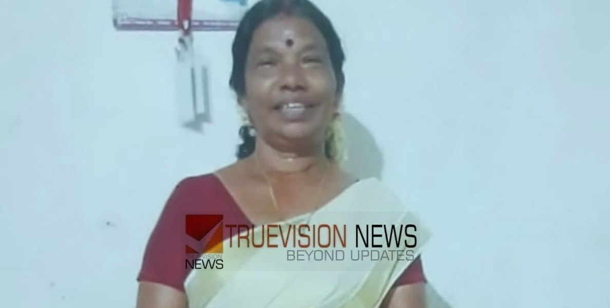 ദമ്പതികൾ സഞ്ചരിച്ചിരുന്ന ബൈക്ക് മറിഞ്ഞ് അപകടം; വീട്ടമ്മ മരിച്ചു