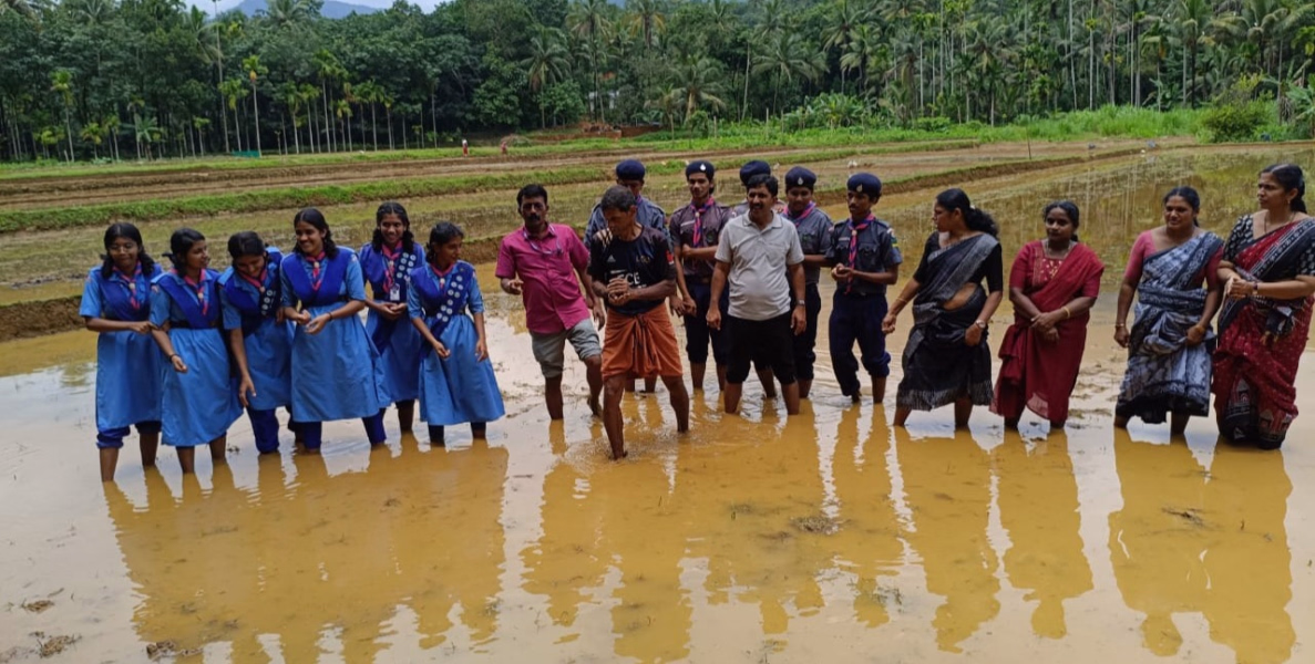 കേളകം സെൻ്റ് തോമസ് സ്കൂളിൽ ഞാറ്റുവേല മഹോത്സവം സംഘടിപ്പിച്ചു
